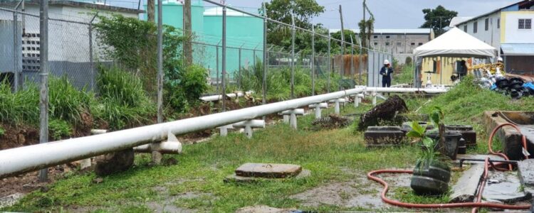 RUBiS_Canefield_Fence_B4